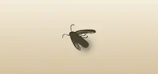 Firefly silhouette