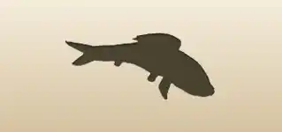 Fish silhouette