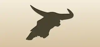 Skull silhouette