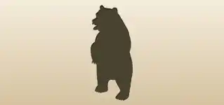 Bear silhouette