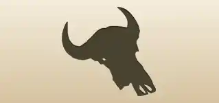 Skull silhouette