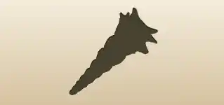 Shell silhouette