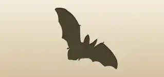 Bat silhouette