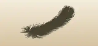 Feather silhouette