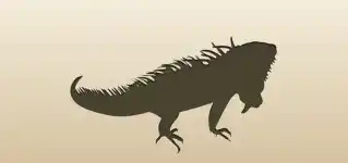 Iguana silhouette