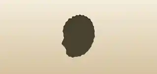 Shell silhouette