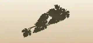 Grapes silhouette