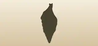 Shell silhouette
