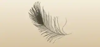 Feather silhouette