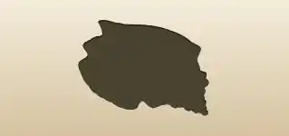 Shell silhouette