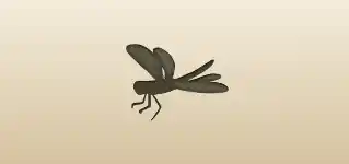 Dragonfly silhouette