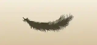 Feather silhouette