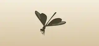 Dragonfly silhouette