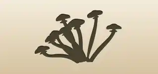 Mushrooms silhouette