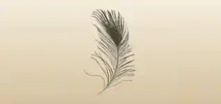 Feather silhouette