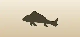 Fish silhouette