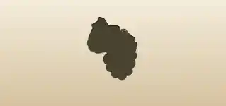 Grapes silhouette