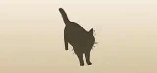 Cat silhouette