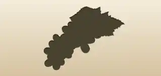 Grapes silhouette