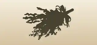 Dried Flowers silhouette