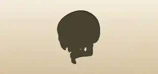Skull silhouette