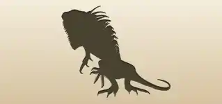 Iguana silhouette