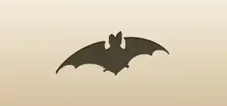 Bat silhouette