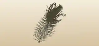 Feather silhouette