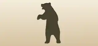Bear silhouette