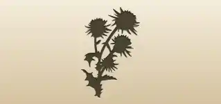 Thistle silhouette