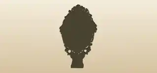Mirror silhouette
