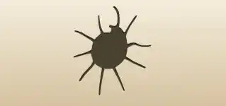 Shell silhouette