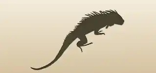 Iguana silhouette