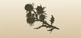 Thistle silhouette