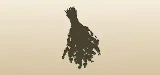 Dried Flowers silhouette