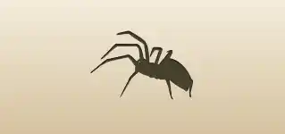 Spider silhouette