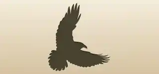 Crow silhouette