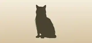 Cat silhouette