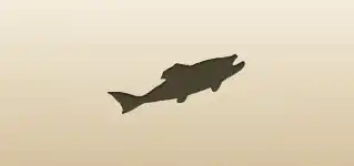Fish silhouette