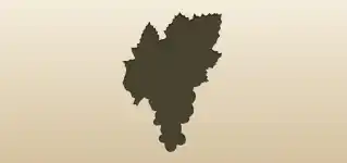 Grapes silhouette