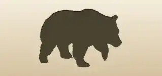 Bear silhouette