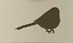 Long-Tailed Tit silhouette