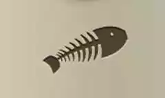 Fish Skeleton