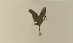 Crane silhouette