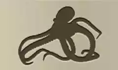 Octopus silhouette