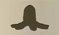 Octopus silhouette