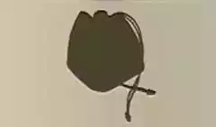 Handbag silhouette