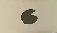 Pearl Oyster silhouette
