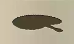 Hand Fan silhouette