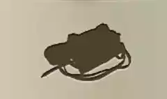 Camera silhouette